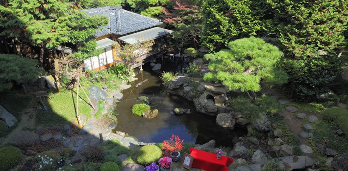 写真：二葉の日本庭園